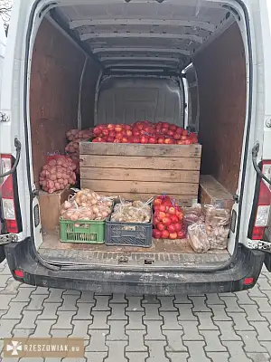 Jabłka Ziemniaki Cebula Marchew Gruszka Soki - WARSZAWIAK.EU
