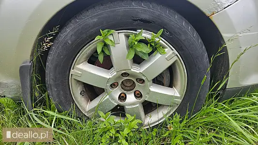 [elicytacje] i licytacja - ford focus 2007r. - Zdjęcie 5 - WARSZAWIAK.EU