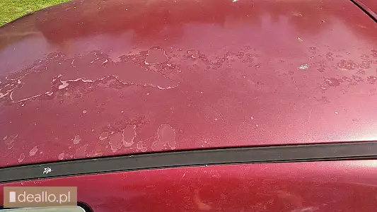 [eLicytacje] II licytacja - Peugeot 206 - Zdjęcie 6 - WARSZAWIAK.EU