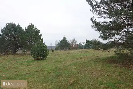 [eLicytacje] I licytacja - nieruchomość gruntowa niezabudowana, działka 1319/1 położona w Szczukowic - WARSZAWIAK.EU