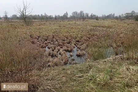 [eLicytacje] I licytacja - nieruchomość gruntowa niezabudowana, działka 1319/1 położona w Szczukowic - Zdjęcie 2 - WARSZAWIAK.EU