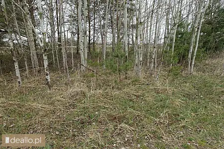 [eLicytacje] I licytacja - nieruchomość gruntowa niezabudowana, działka 1319/1 położona w Szczukowic - Zdjęcie 3 - WARSZAWIAK.EU