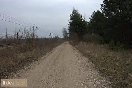 [eLicytacje] I licytacja - nieruchomość gruntowa niezabudowana, działka 1319/1 położona w Szczukowic - Zdjęcie 4 - WARSZAWIAK.EU