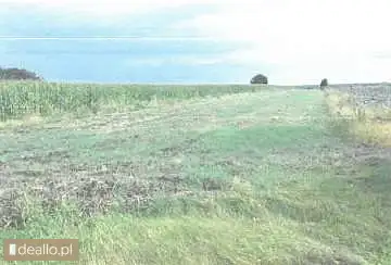 [eLicytacje] I licytacja - Nieruchomość rolna niezabudowana - WARSZAWIAK.EU