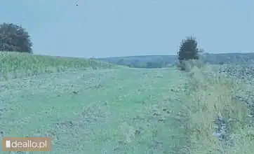 [eLicytacje] I licytacja - Nieruchomość rolna niezabudowana - Zdjęcie 2 - WARSZAWIAK.EU