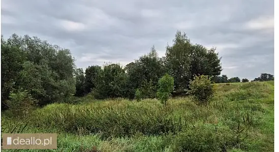 [eLicytacje] III licytacja - nieruchomość gruntowa niezabudowana w Pączewie Gmina Skórcz, nr działki - WARSZAWIAK.EU