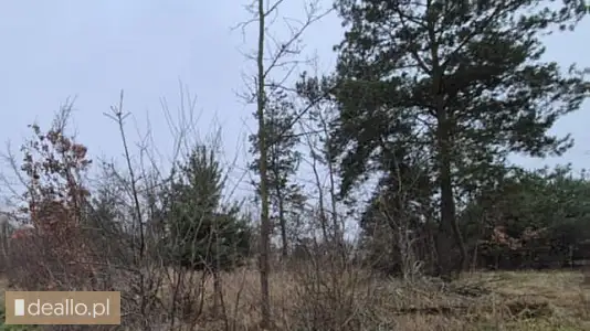 [eLicytacje] II licytacja - Działka rolna nr 661/4 - Janów gm. Tczów - WARSZAWIAK.EU