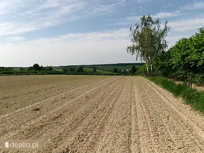 [eLicytacje] I licytacja - nieruchomość gruntowa niezabudowana - WARSZAWIAK.EU